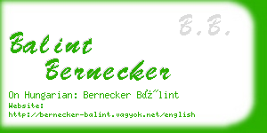 balint bernecker business card